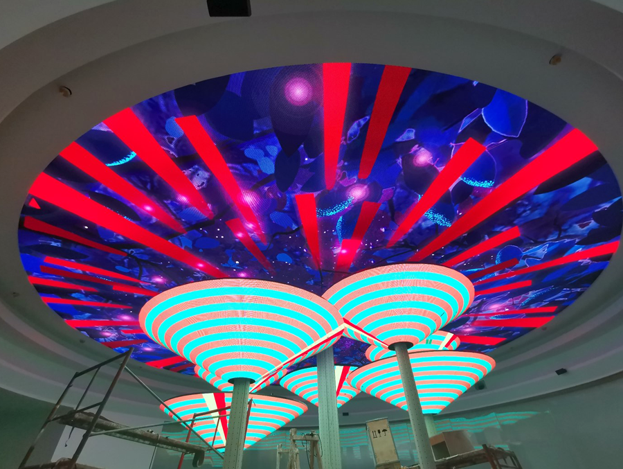 蕉岭长命之乡某展馆