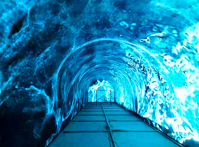 河南万亩荷花圃