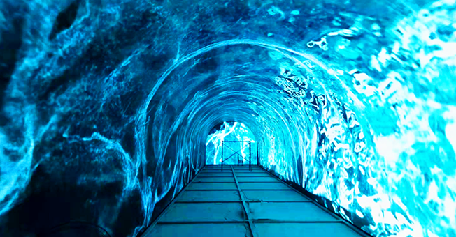 河南万亩荷花圃