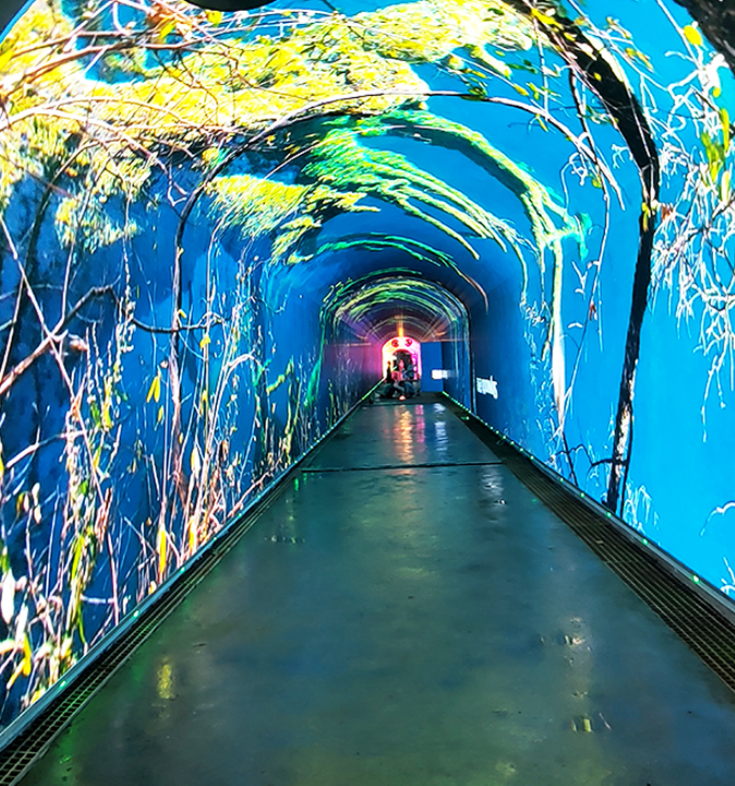 中国·太阳集团tyc86(股份有限公司)-Official website