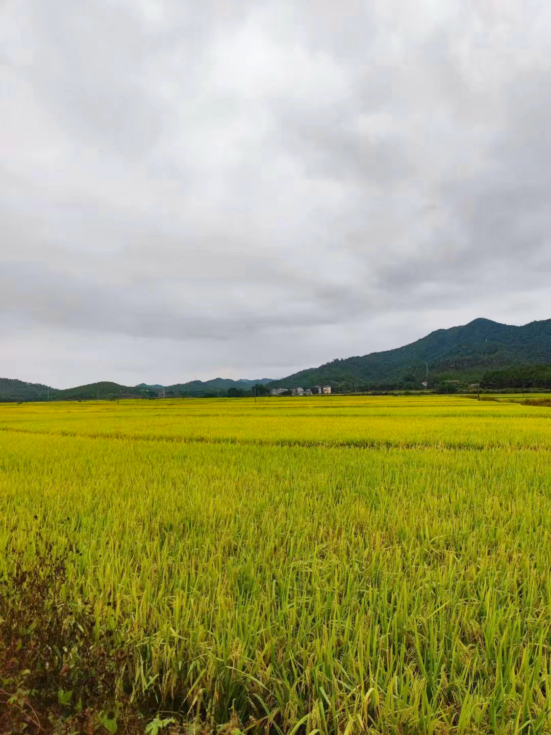 中国·太阳集团tyc86(股份有限公司)-Official website