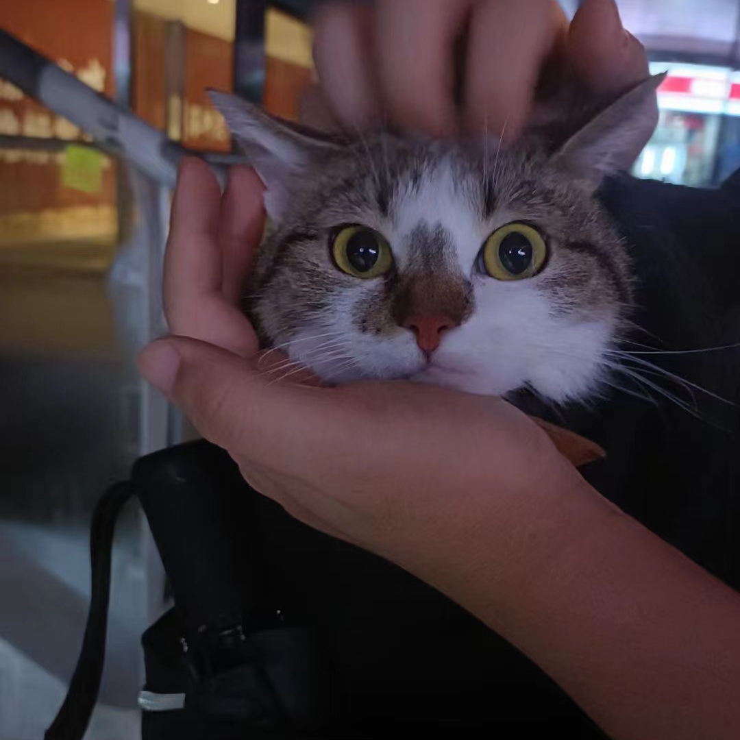 中国·太阳集团tyc86(股份有限公司)-Official website