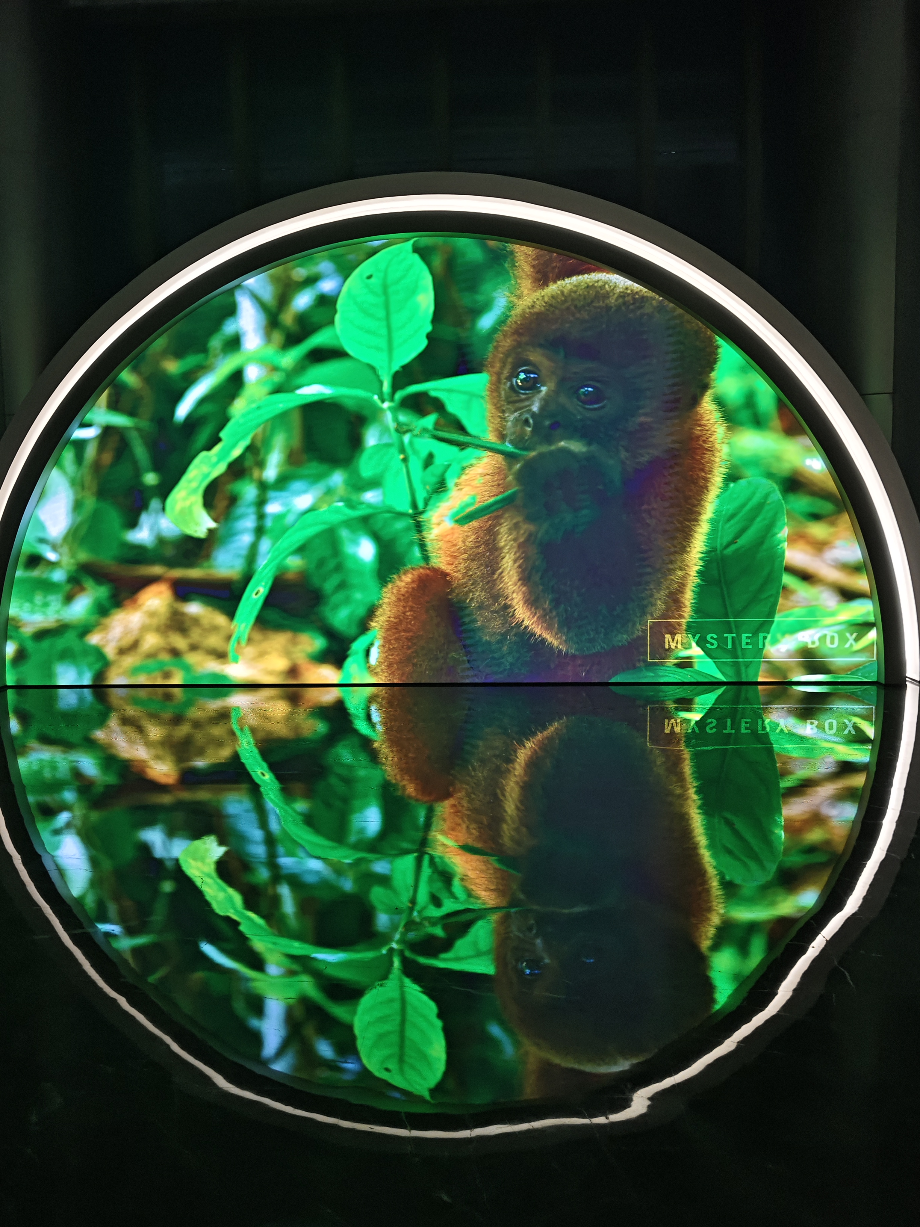 南山区半圆异形大屏