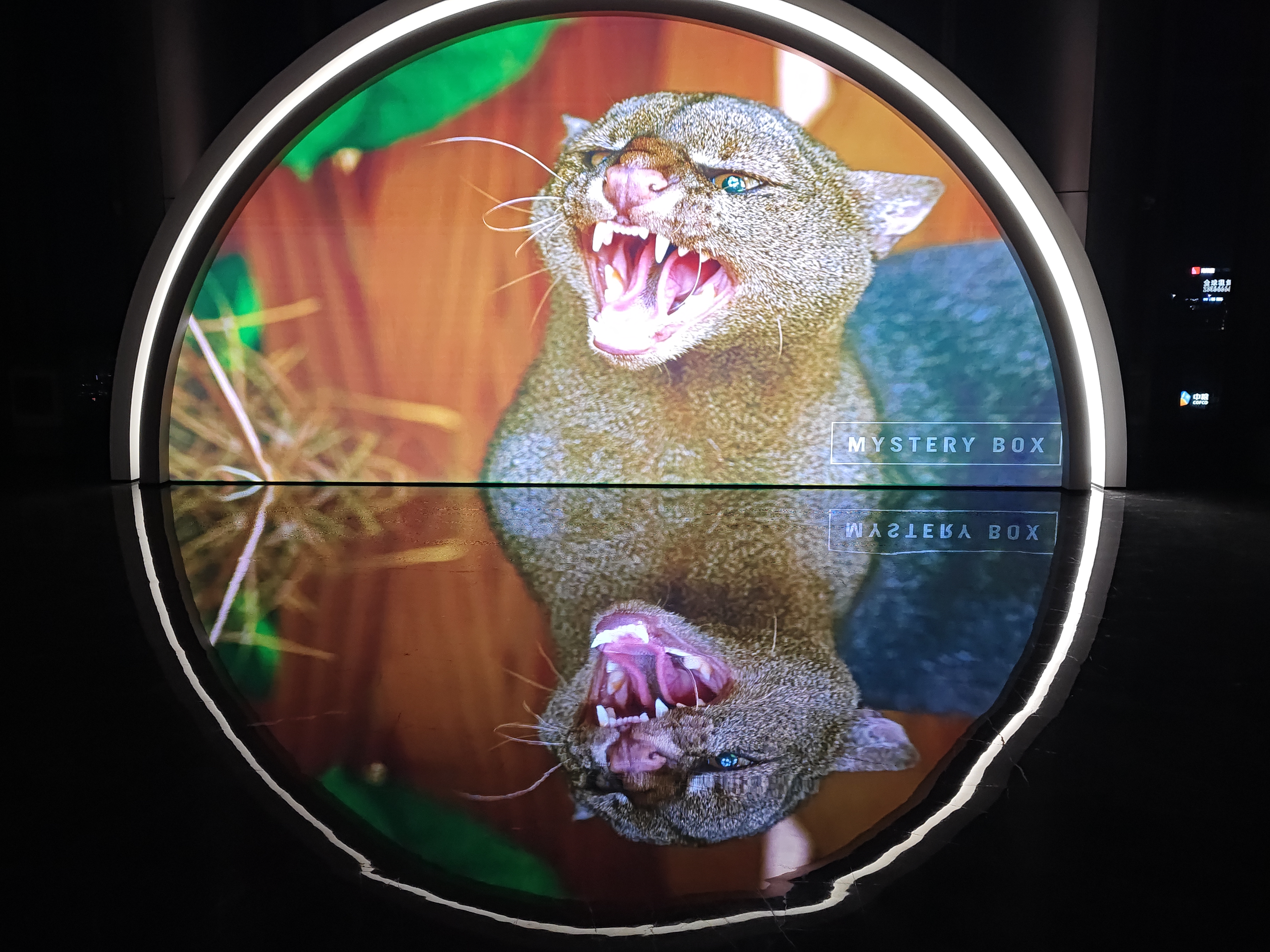 南山区半圆异形大屏